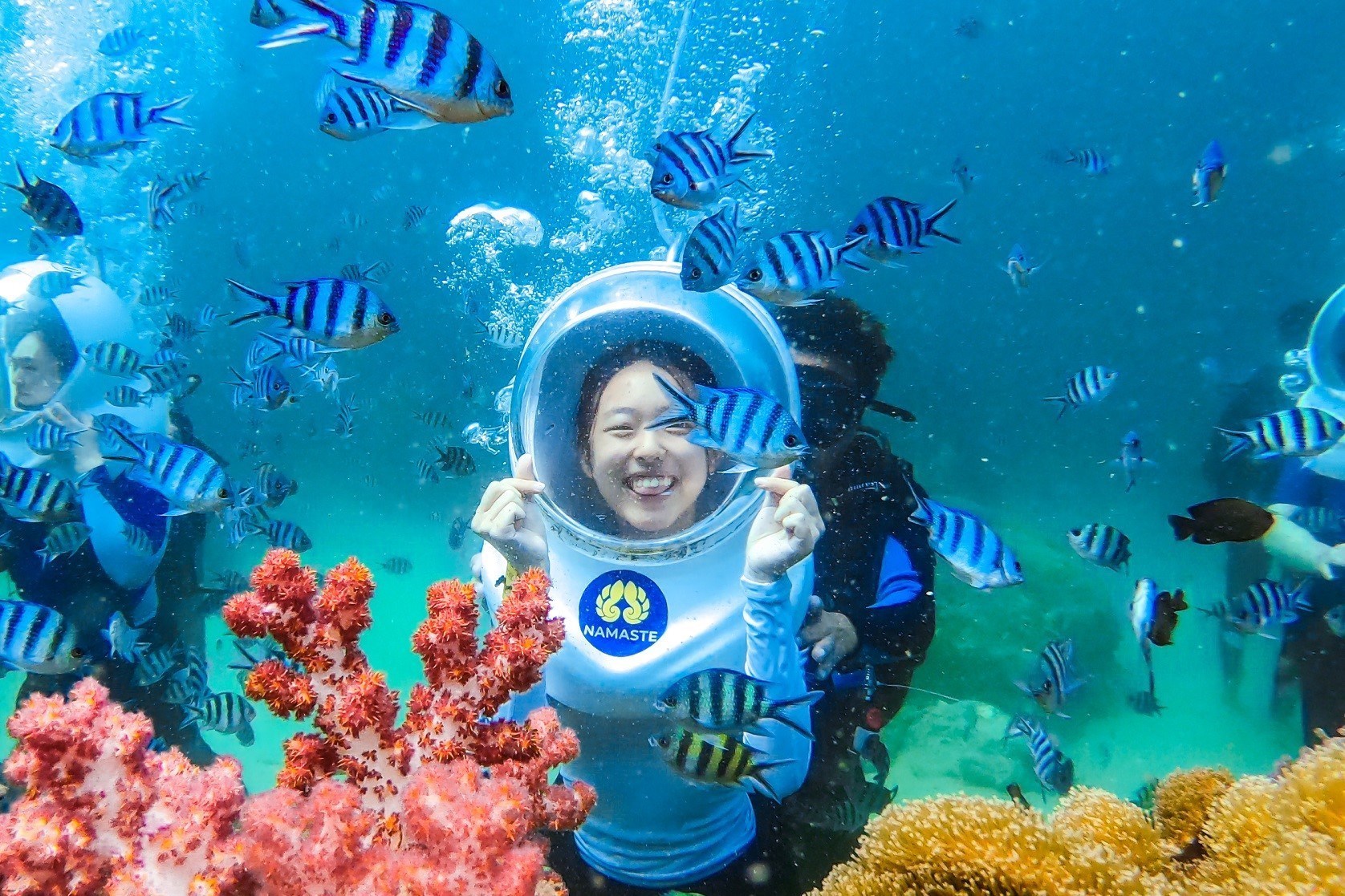 Tour Đi Bộ Dưới Đáy Biển Nha Trang