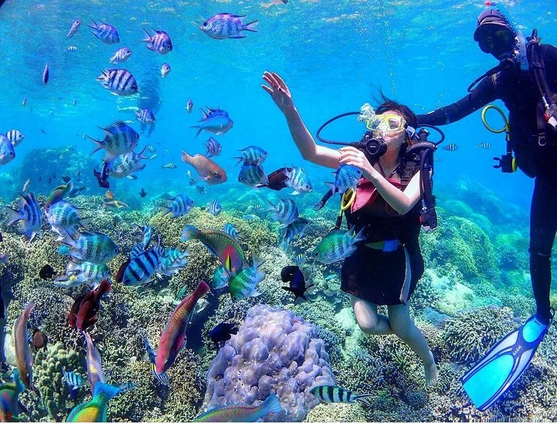 Tour 3 Đảo Lặn Biển Nha Trang