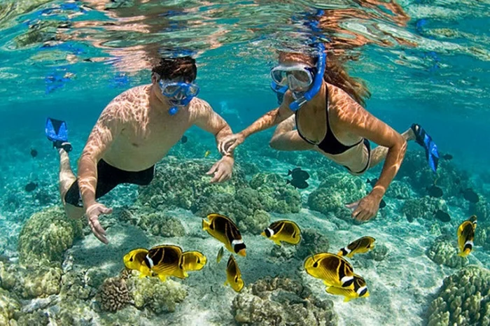Tour 3 Đảo Hòn Mun - Làng Chài - Bãi Tranh