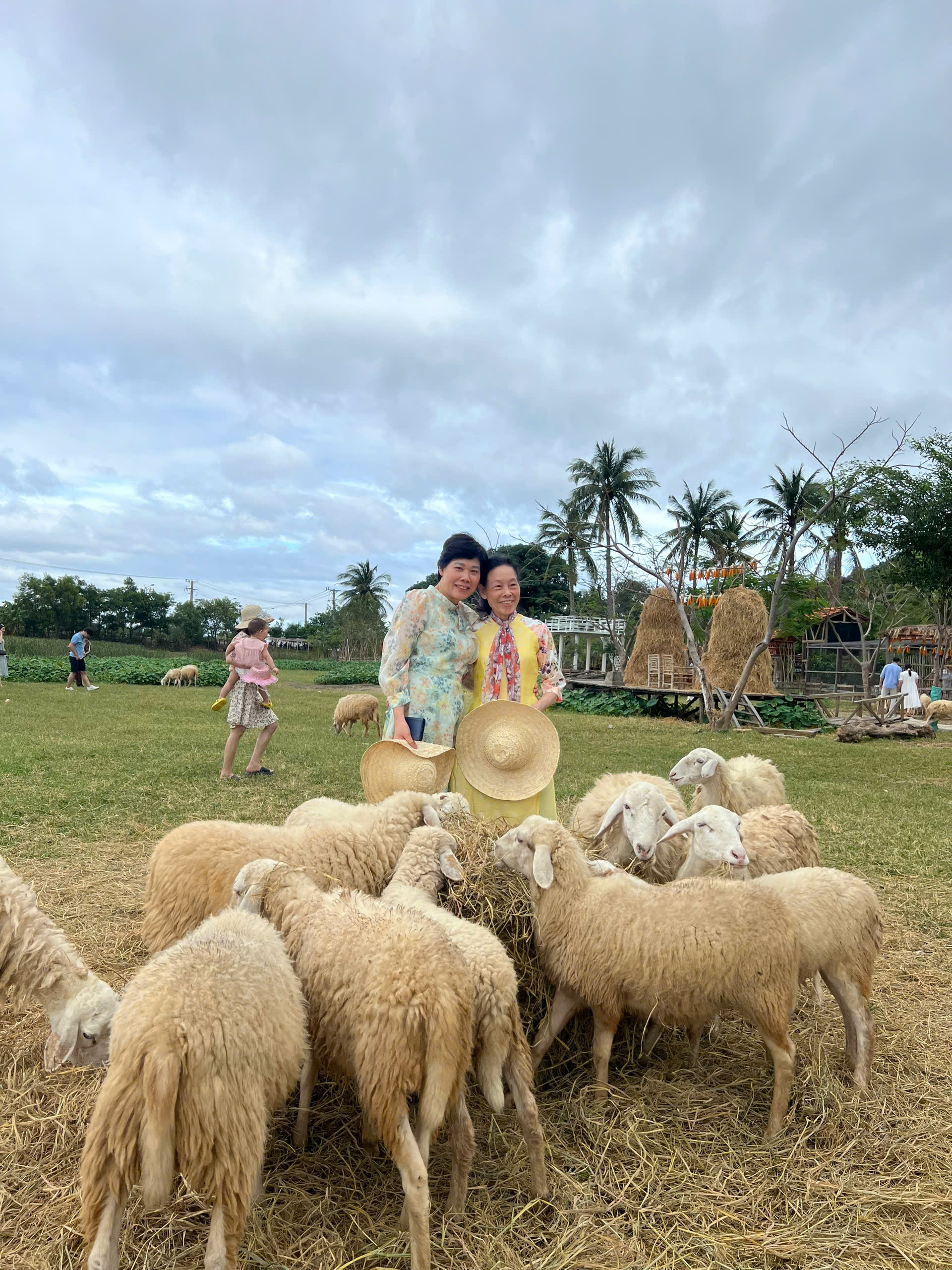 Tour Hang Rái - Vĩnh Hy - Vườn Nho - Đồng Cừu