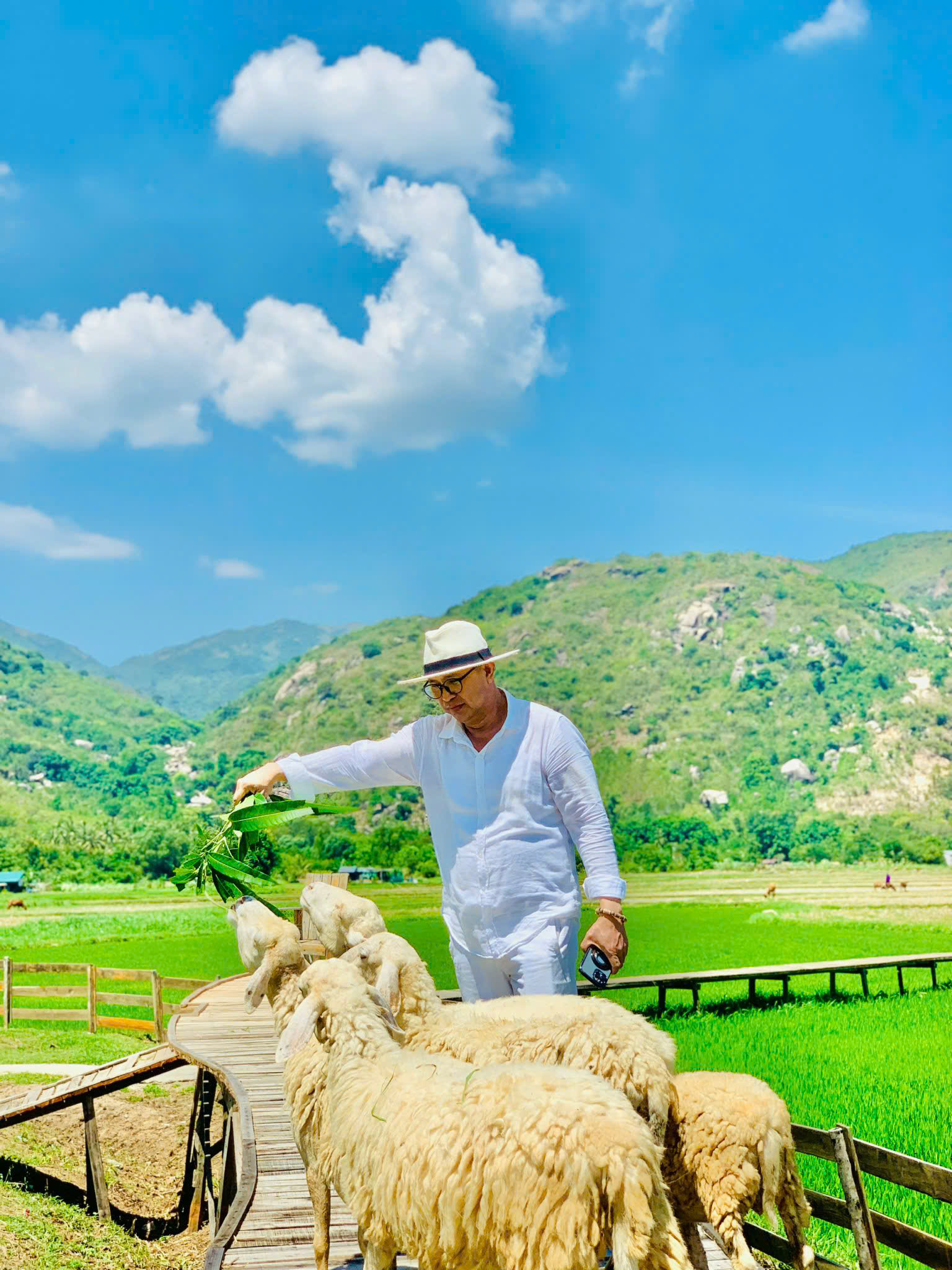 Tour Đồng Cừu - Vĩnh Hy - Vườn Nho