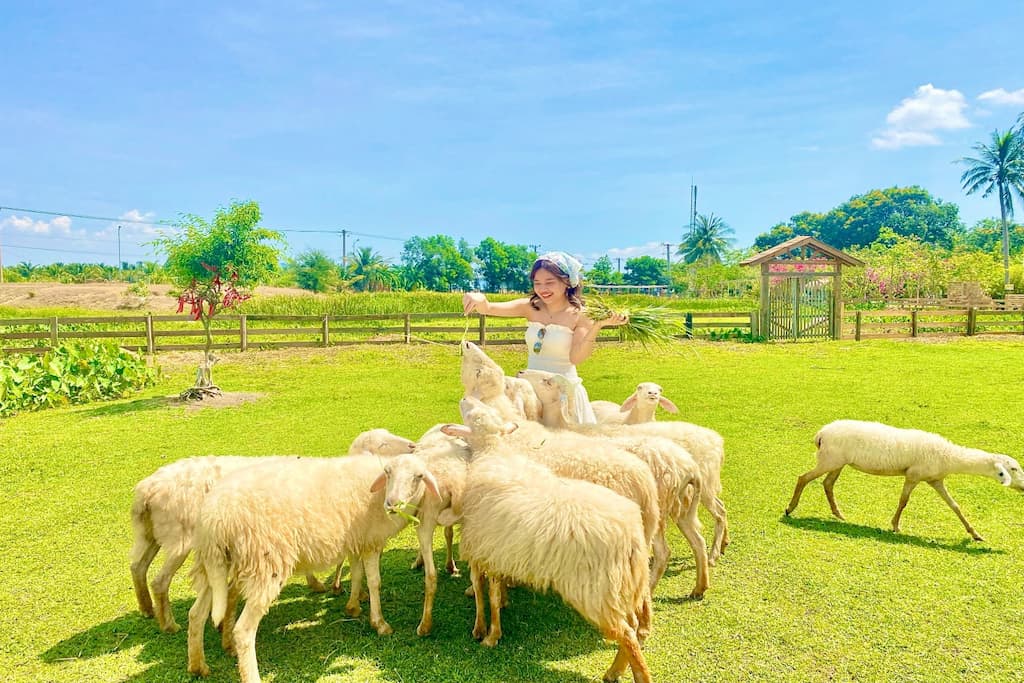 Tour Đồng Cừu - Vĩnh Hy - Vườn Nho