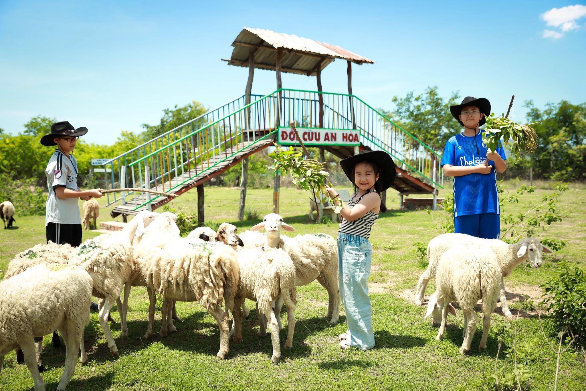Tour Hang Rái - Vĩnh Hy - Vườn Nho - Đồng Cừu